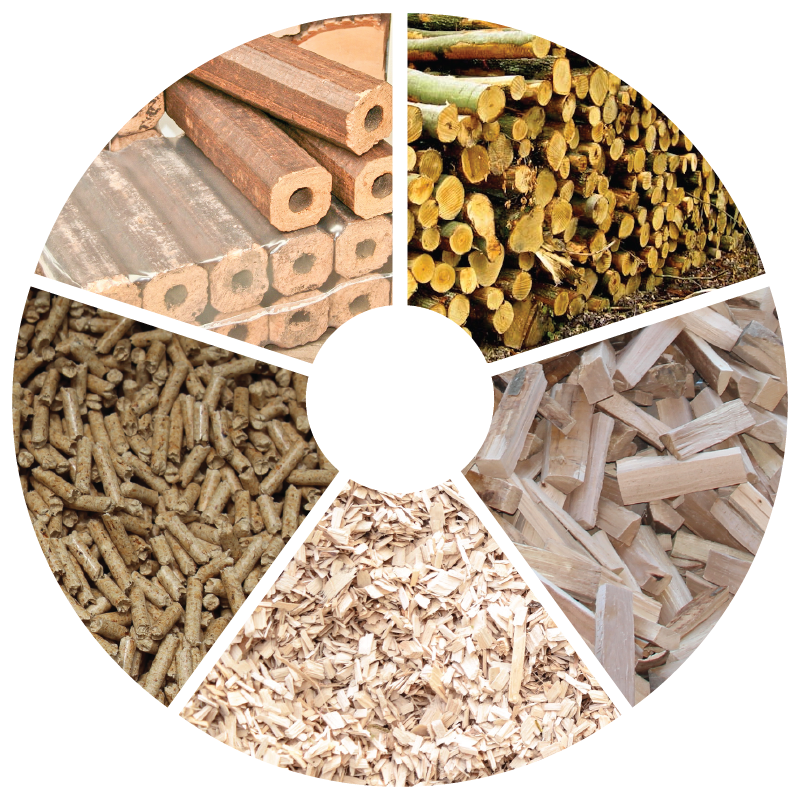 Rechner Holz Energieverbrauchsrechner - Umrechnungszahlen - PowerPellets